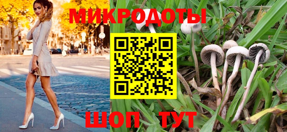 Галлюциногенные грибы Psilocybe  Вход с VPN  Галлюциногенные грибы мицелий  Чайковский 
