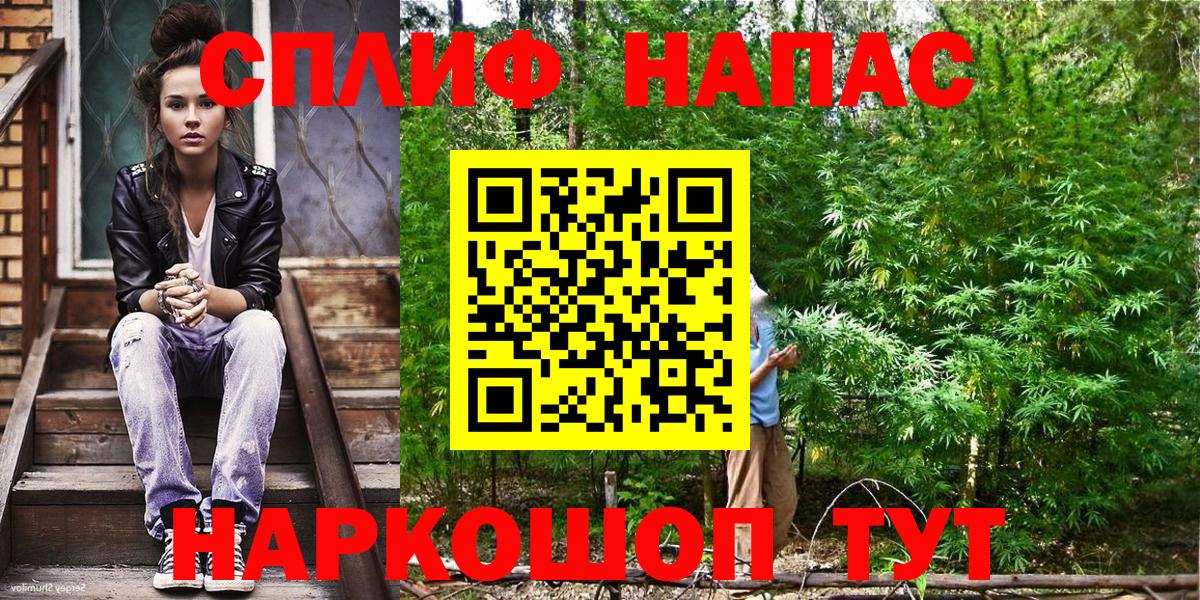 Конопля Bruce Banner  Вход с VPN  Чайковский  Шишки марихуана THC 21% 